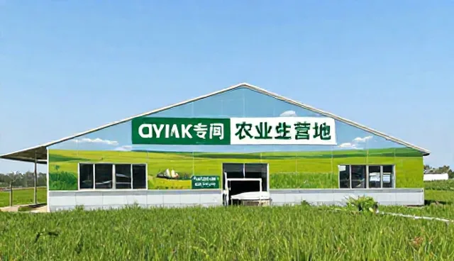 内容质量：广告设计制作中的内容分发策略
