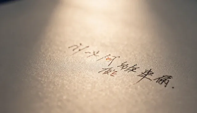 文案创作中的选型关注点如何影响项目效果